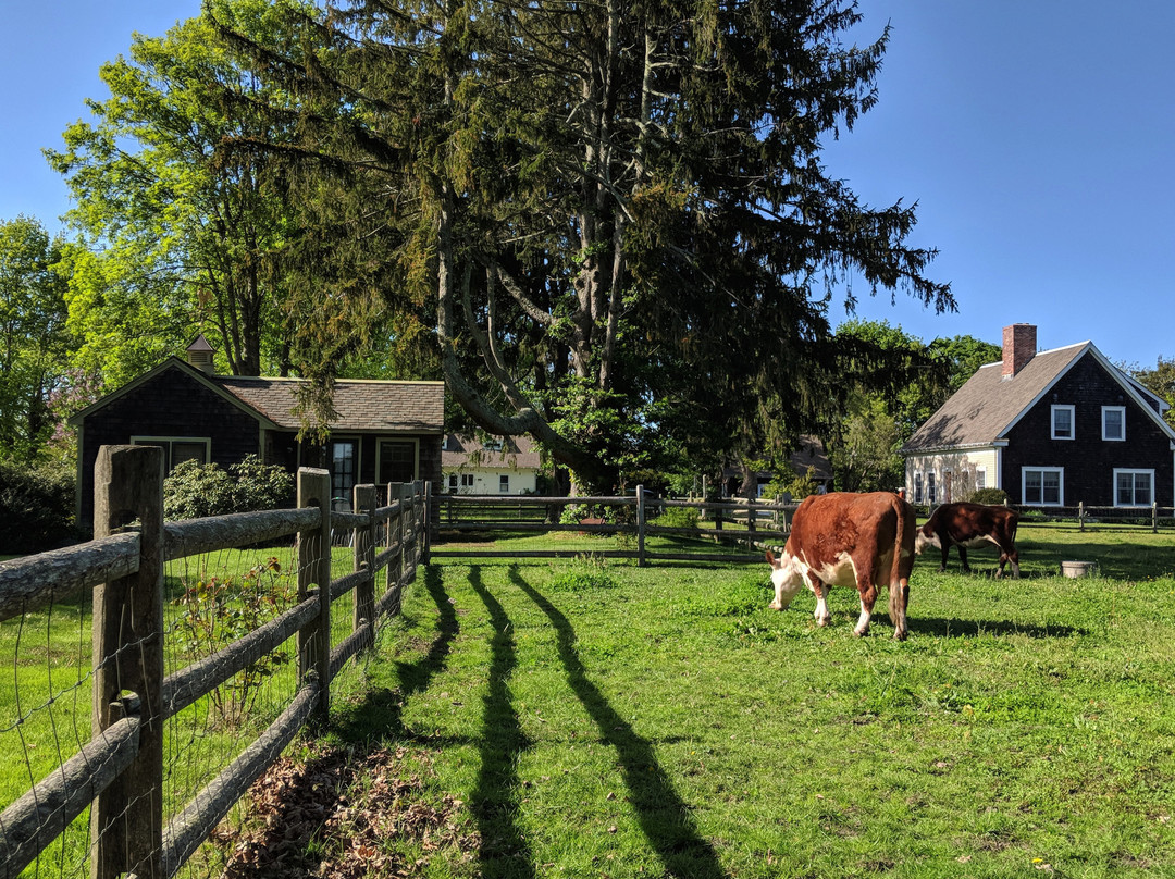 Harmony Home Farm B&B主图