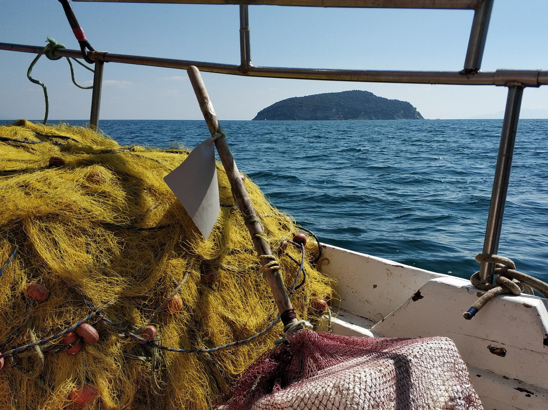 Iraklitsa Fishing Trips景点图片