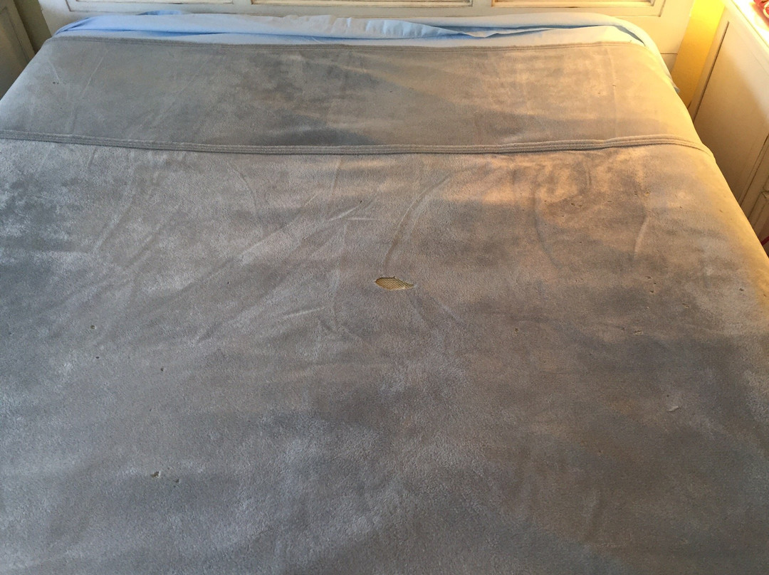 Englewood Beach and Yacht Club主图