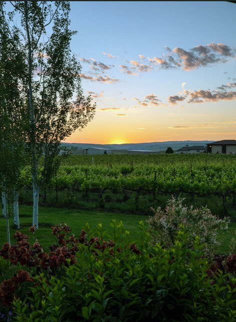 Johnson Ridge Inn & Vineyard主图