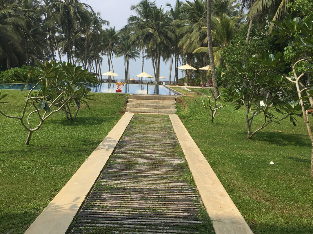 Taprobana Wadduwa By Asia Leisure主图