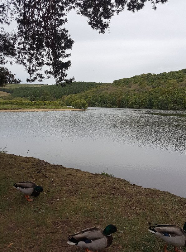 Tunstall Reservoir-Wolsingham必去景点