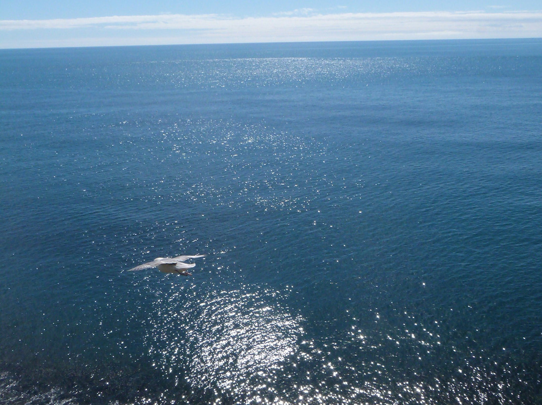 Krysuvik Cliffs-南部半岛必去景点