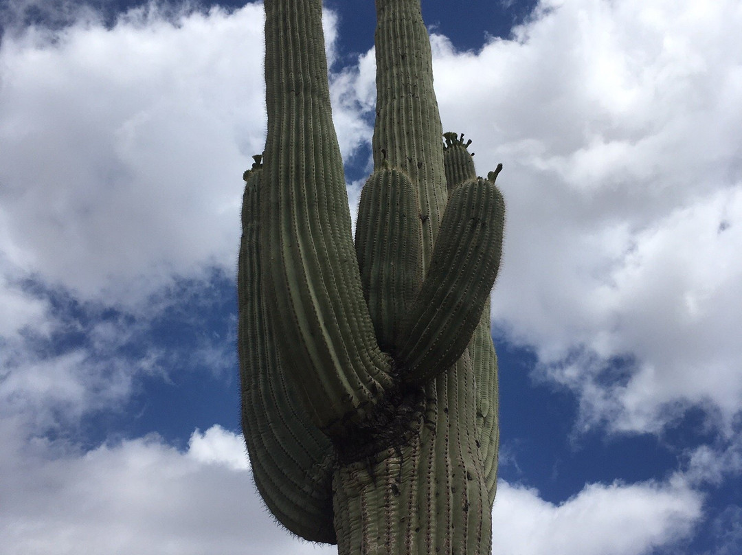 Sunrise Trailhead-斯科茨代尔必去景点