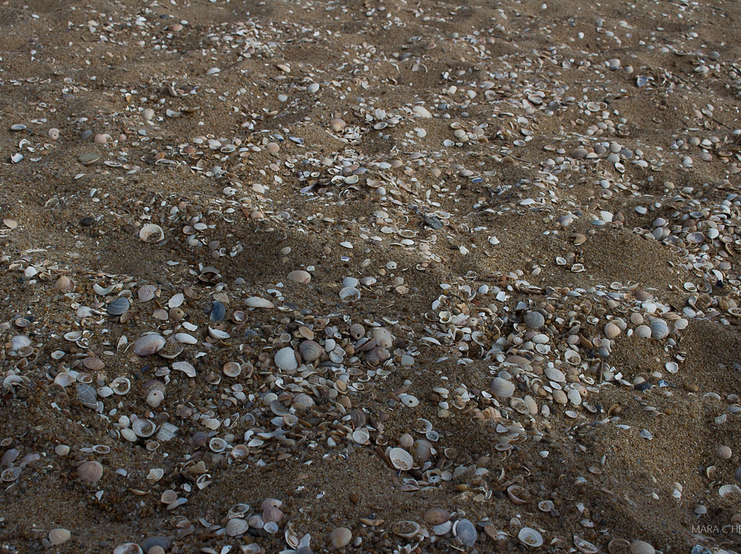 Sendero Barra de la Laguna-La Pedrera必去景点