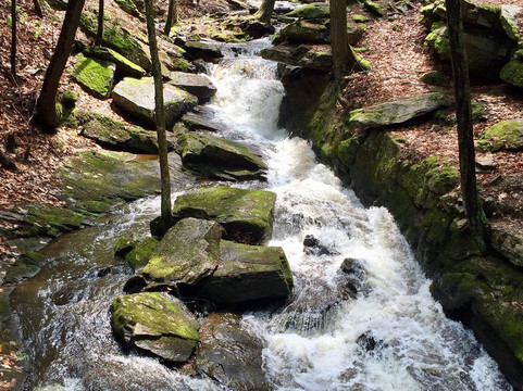 Chesterfield Gorge State Park-Chesterfield必去景点