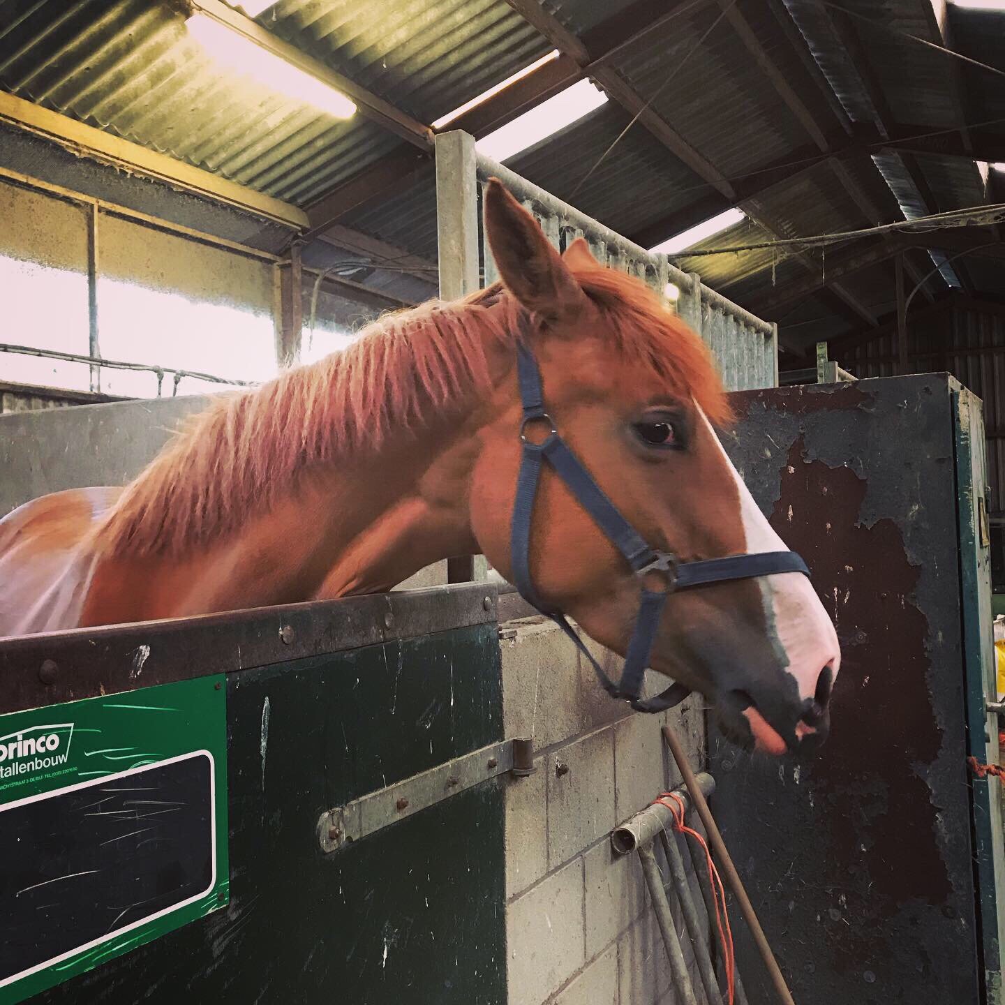 Boerderij de Verwondering-官方