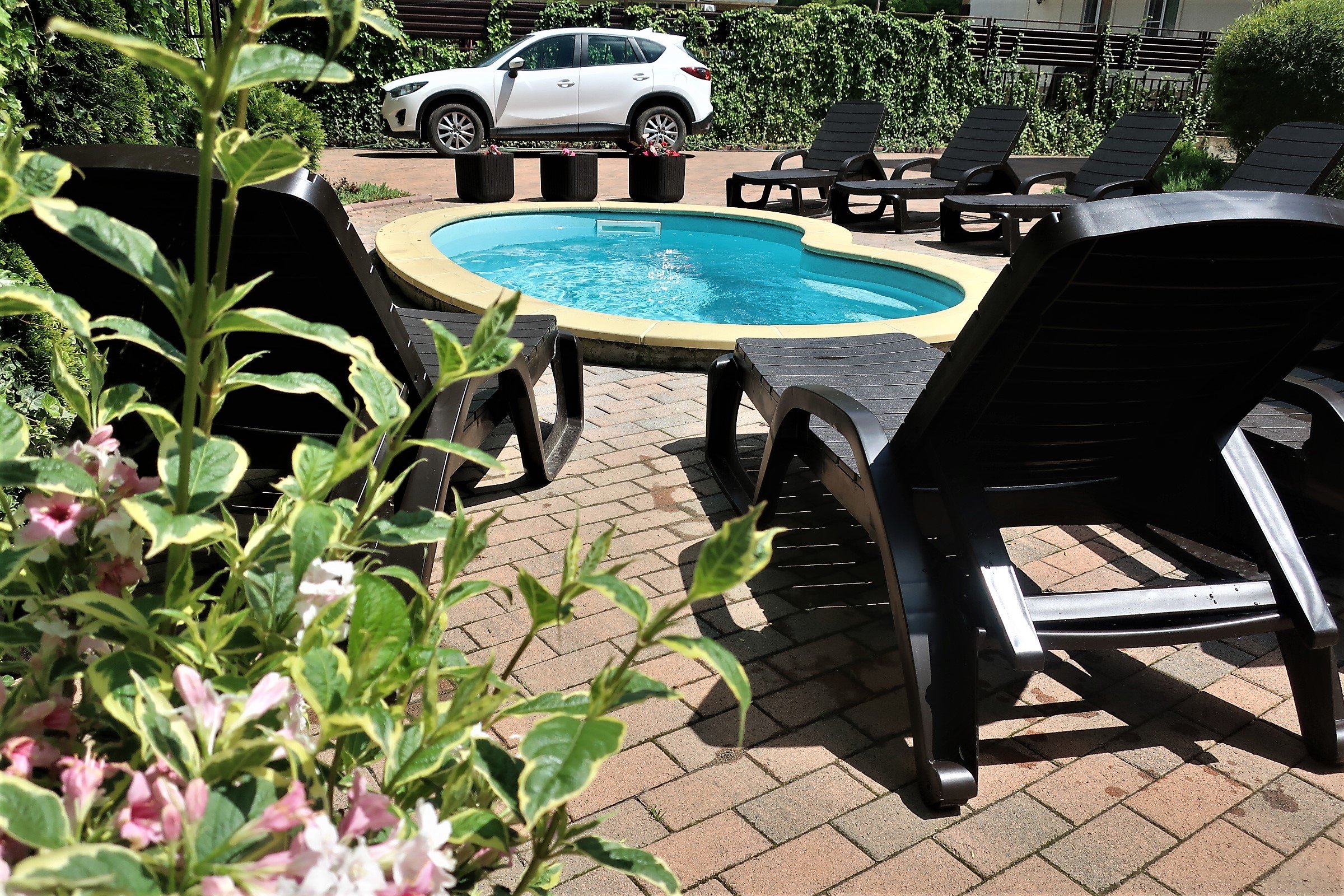 Guest House Shokolad-泳池