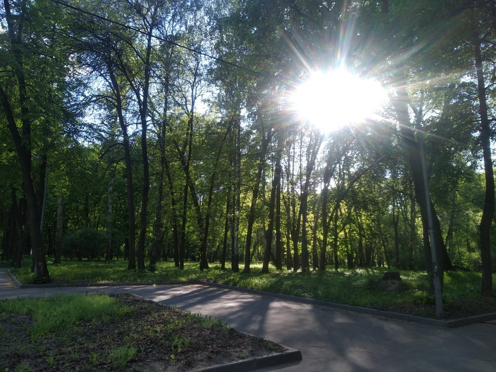 Polovskoye旅游景点-Central Park of Culture and Recreation