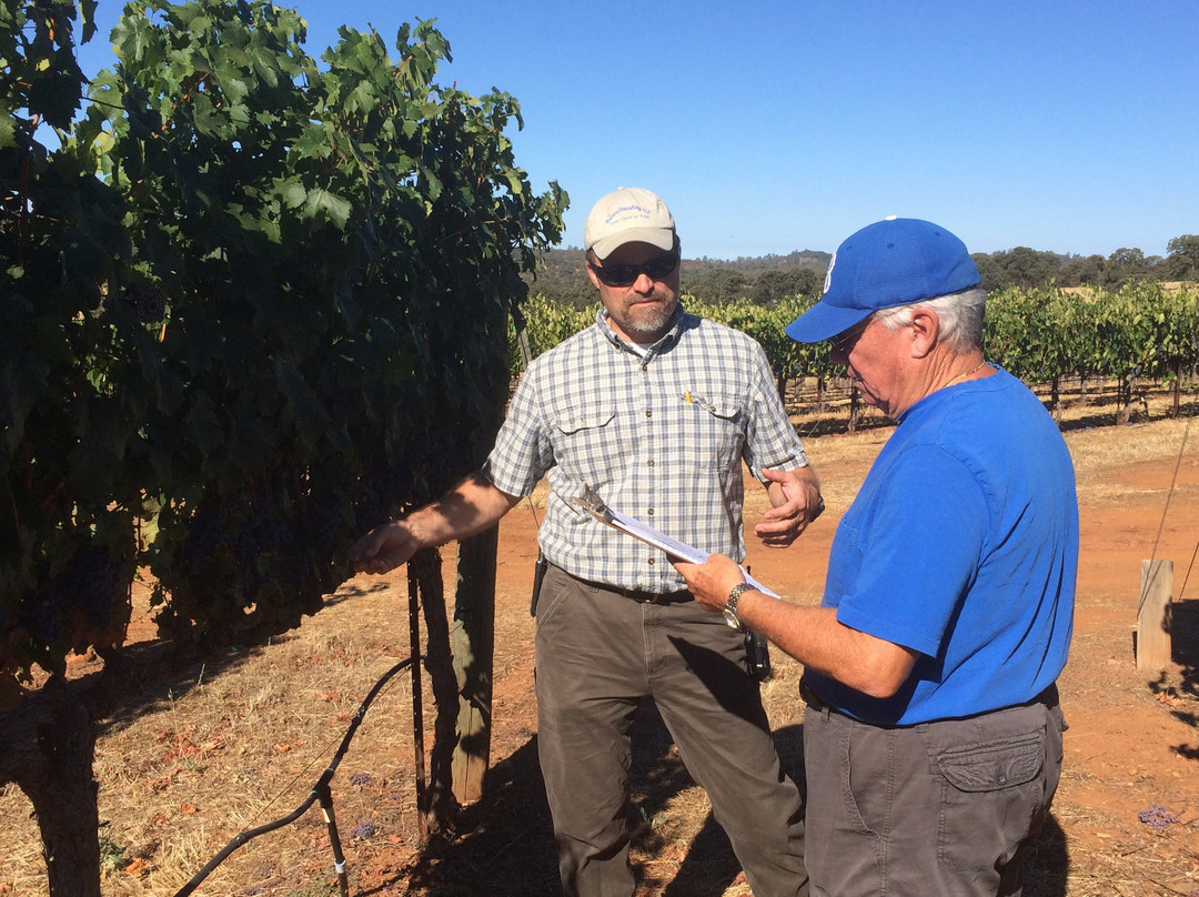 Vin Uva Tasting Room and Vintner Showcase-Granite Bay必去景点