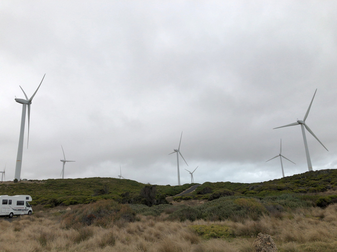 Cape Bridgewater Wind Farm-Cape Bridgewater必去景点