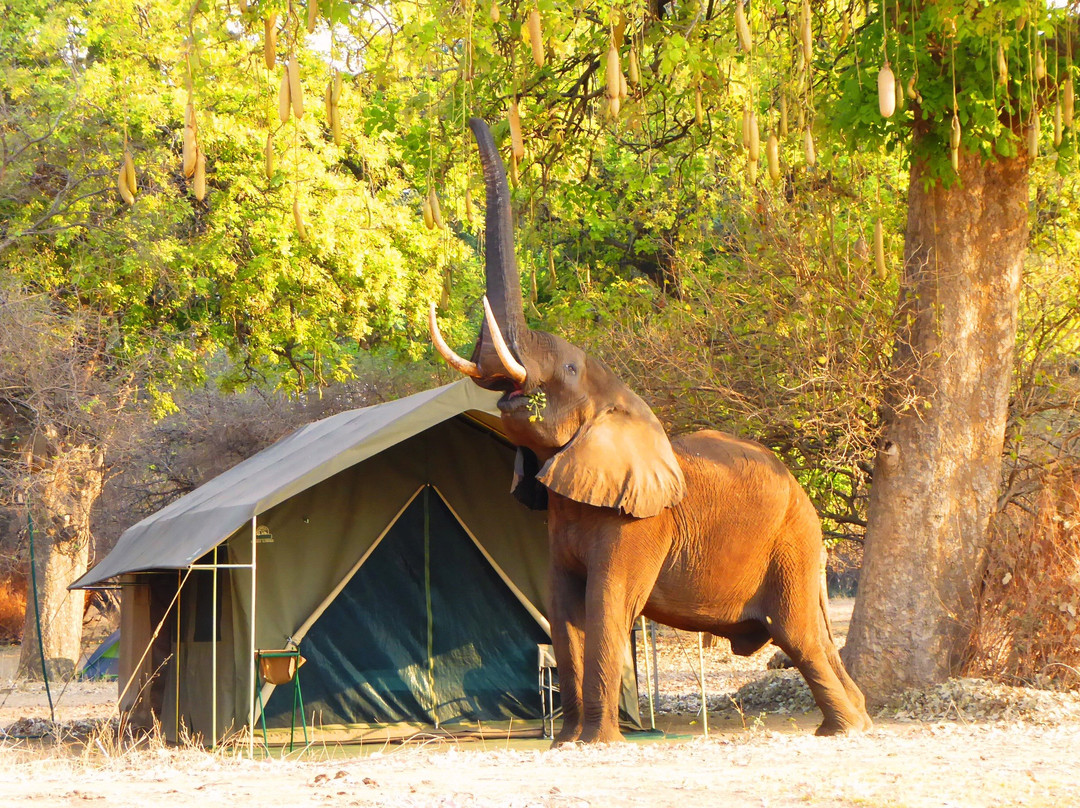 Camp Mana