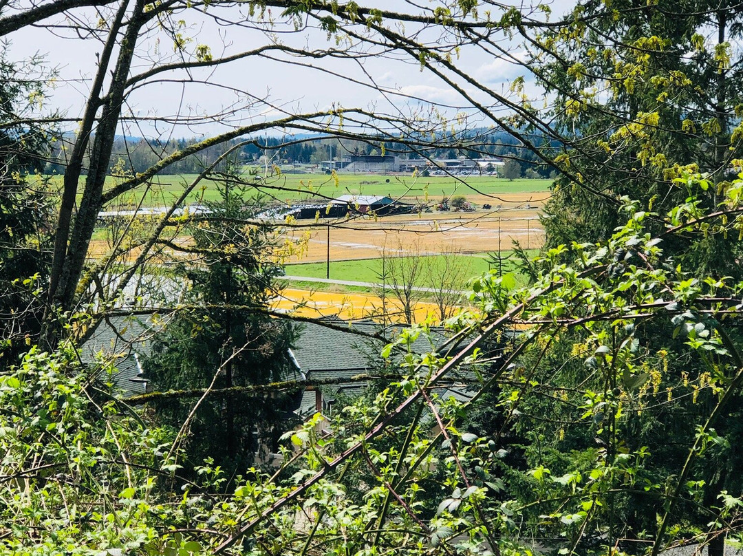 Centennial Trail景点图片