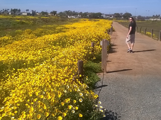 Tijuana River National Estuarine Research Reserve-Imperial Beach必去景点