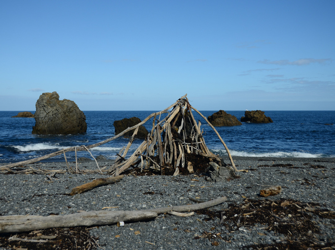 Pencarrow Coastal Trail景点图片