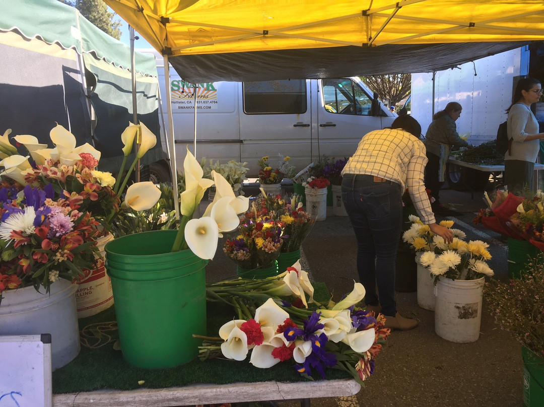 Mountain View Farmers Market-山景城必去景点