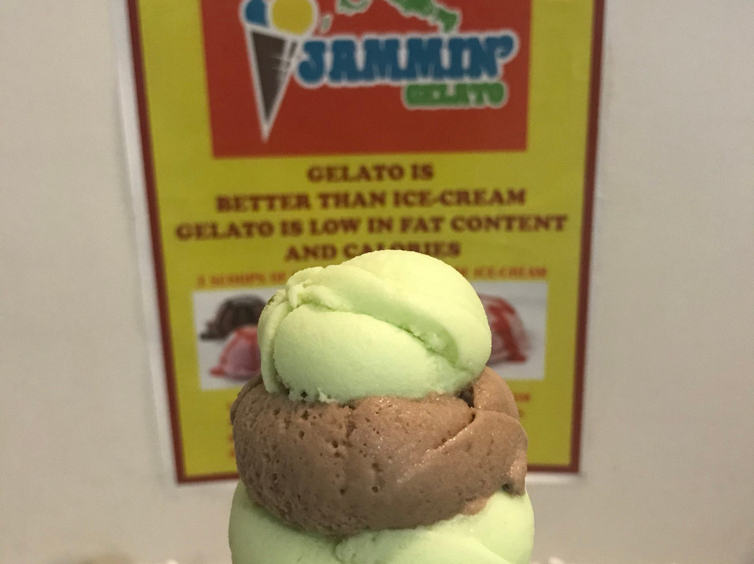 The Bight Settlement餐馆和美食-Jammin Gelato