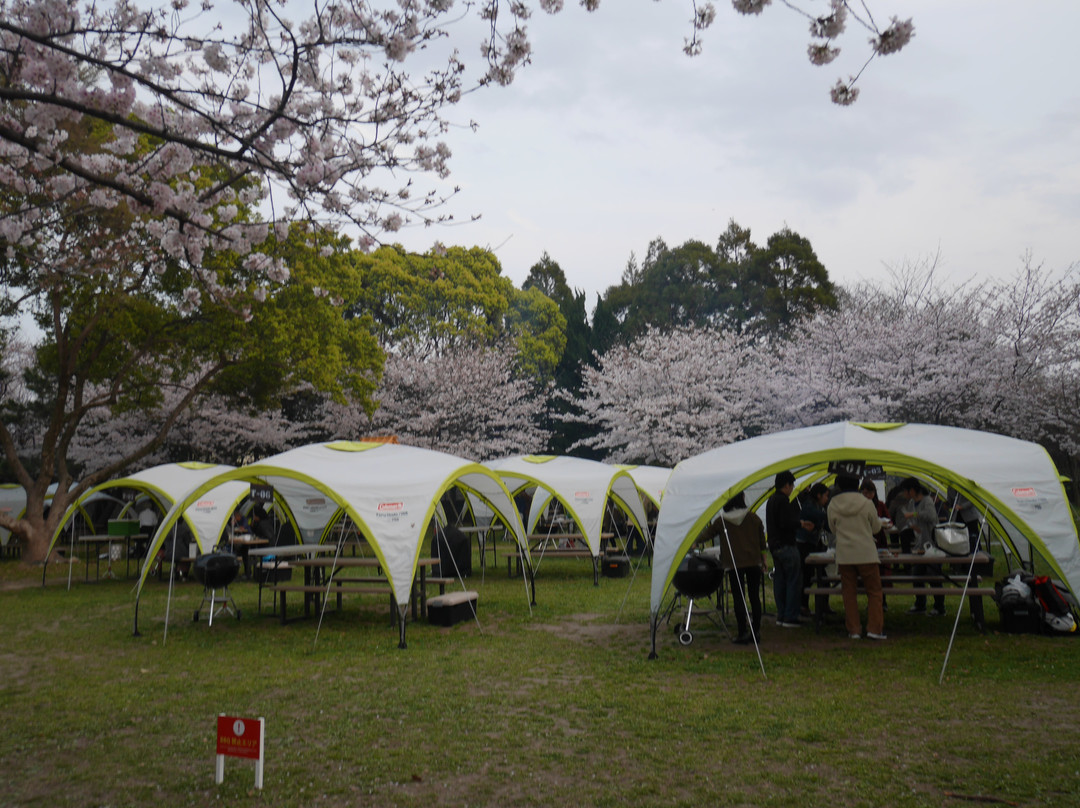 Green Magic Maizuru with Beams Design景点图片