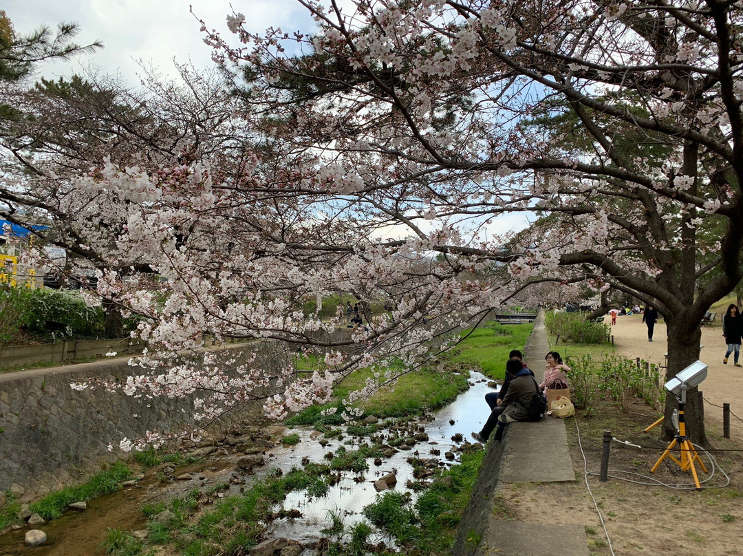 Ashiyagawa Kahan-芦屋市必去景点
