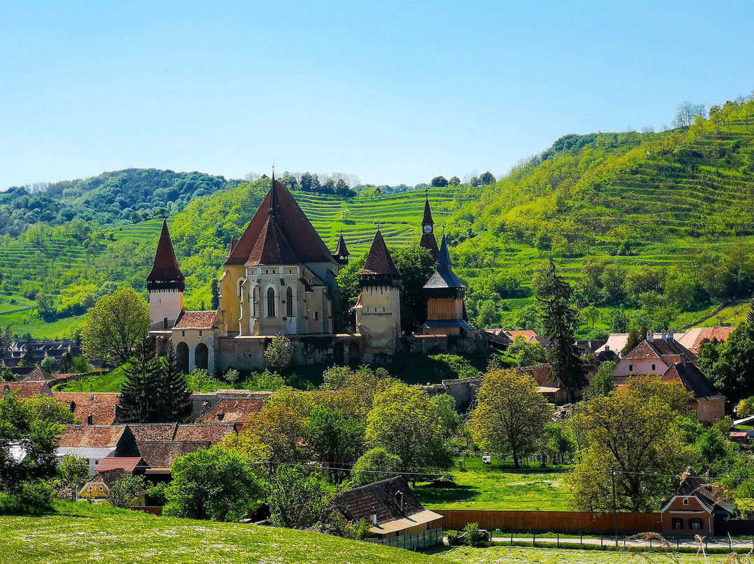 Wise Transylvania Tours景点图片