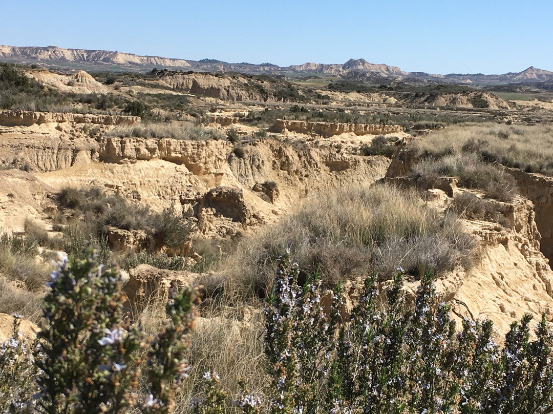 Bardenas Bike-Arguedas必去景点