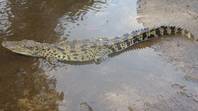 Wild KK Project-戈公必去景点