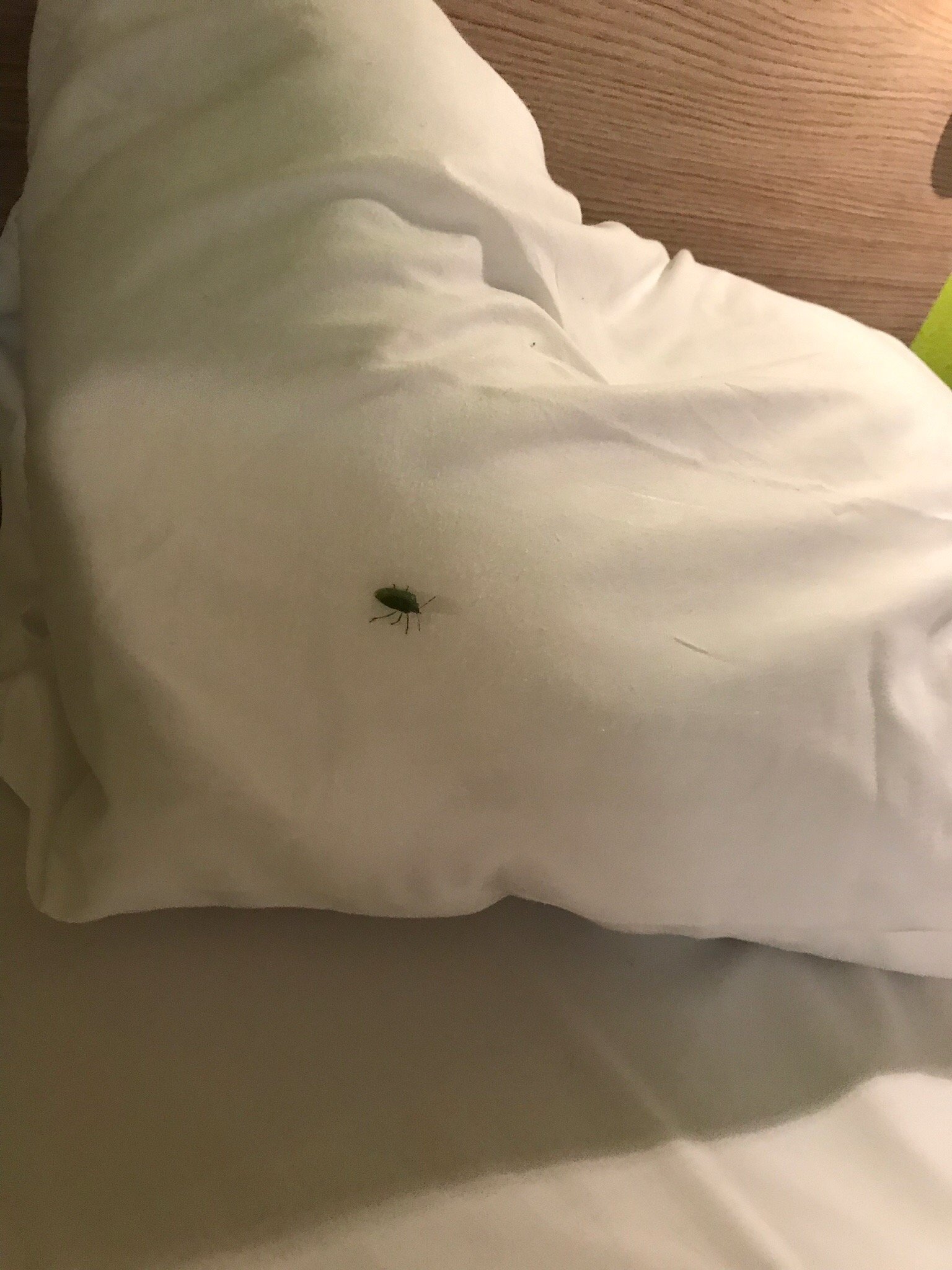 La Residence Hoteliere l’Eolienne-官方
