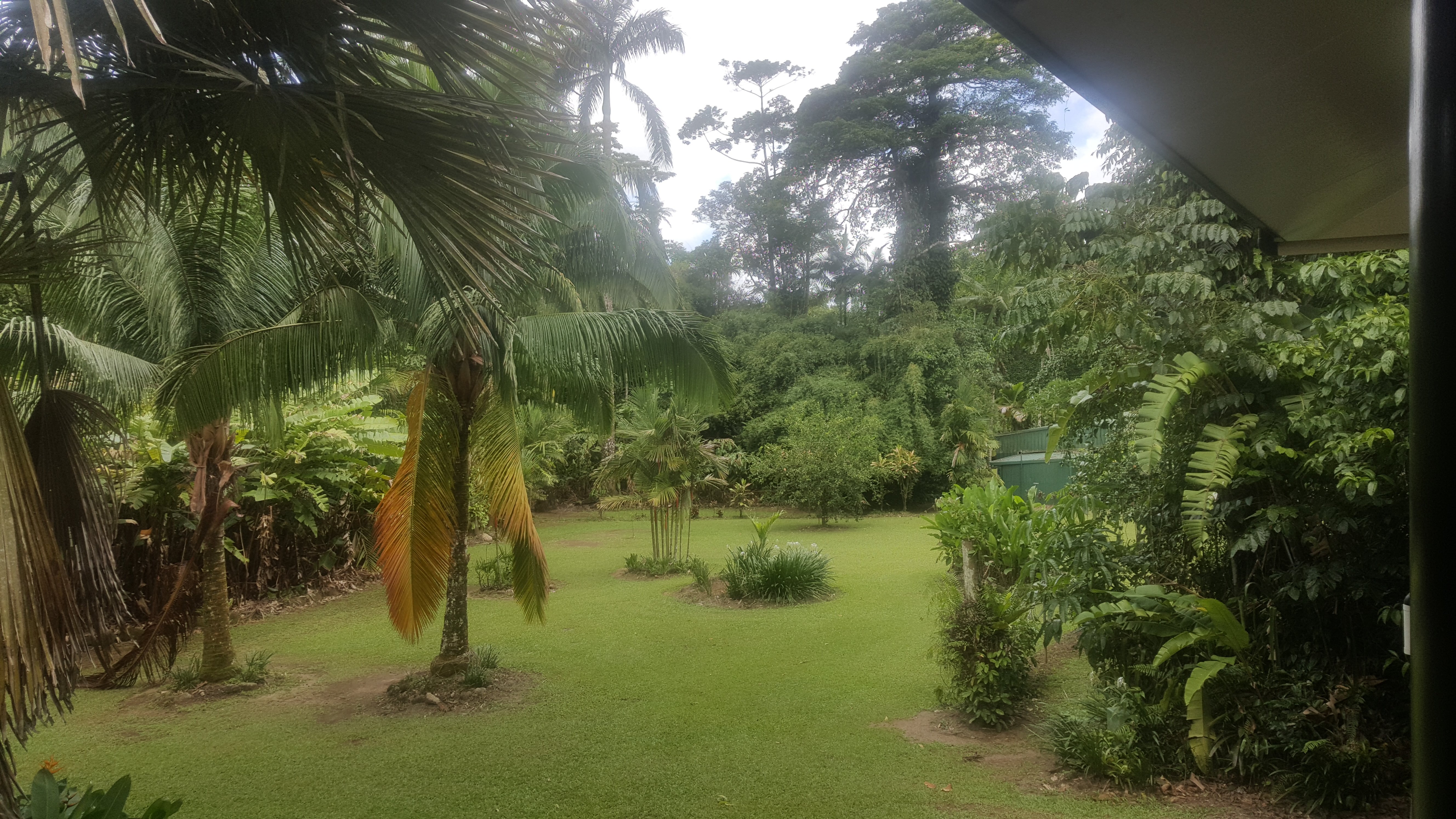 Misty Mountains Tropical Rainforest Retreat-浴室