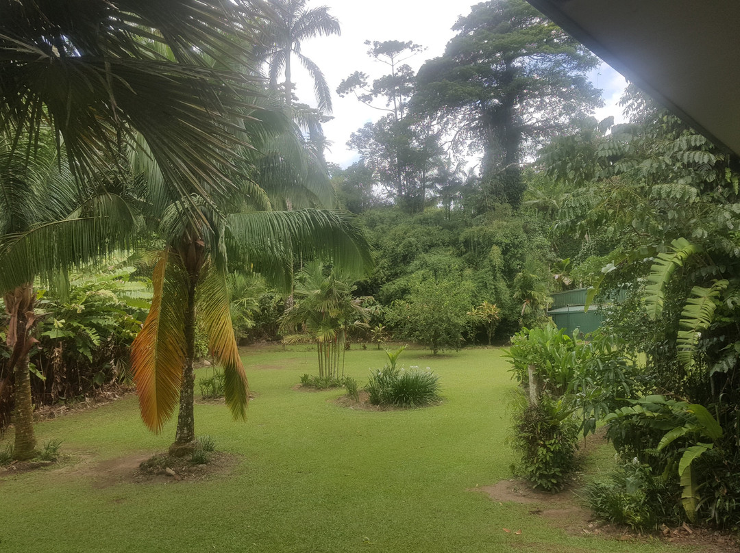 Misty Mountains Tropical Rainforest Retreat主图