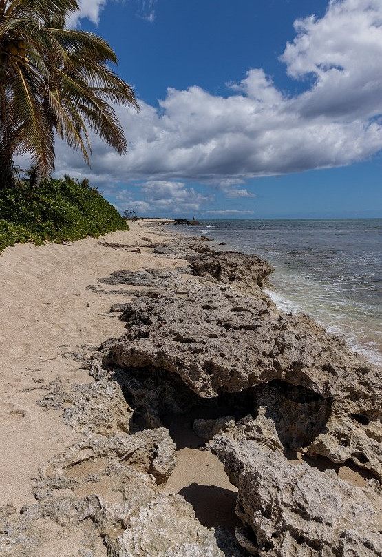 Barbers Point Beach Park-考普雷必去景点
