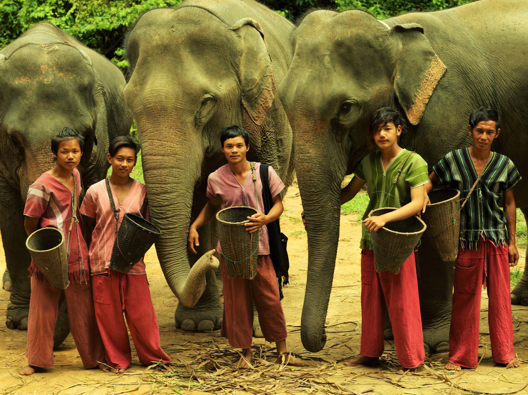 Karen Tribe Native Elephant-清迈必去景点