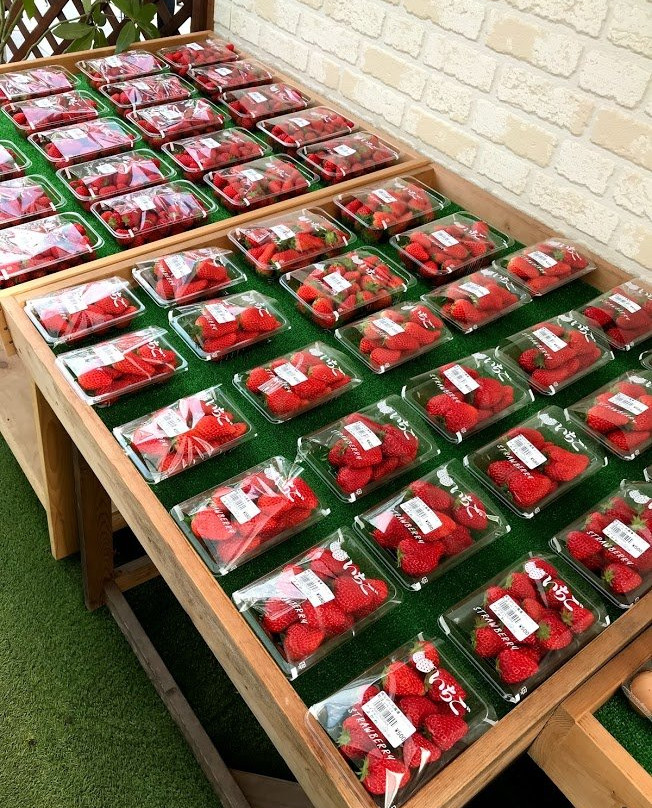 Nagashio Farm-三田市必去景点