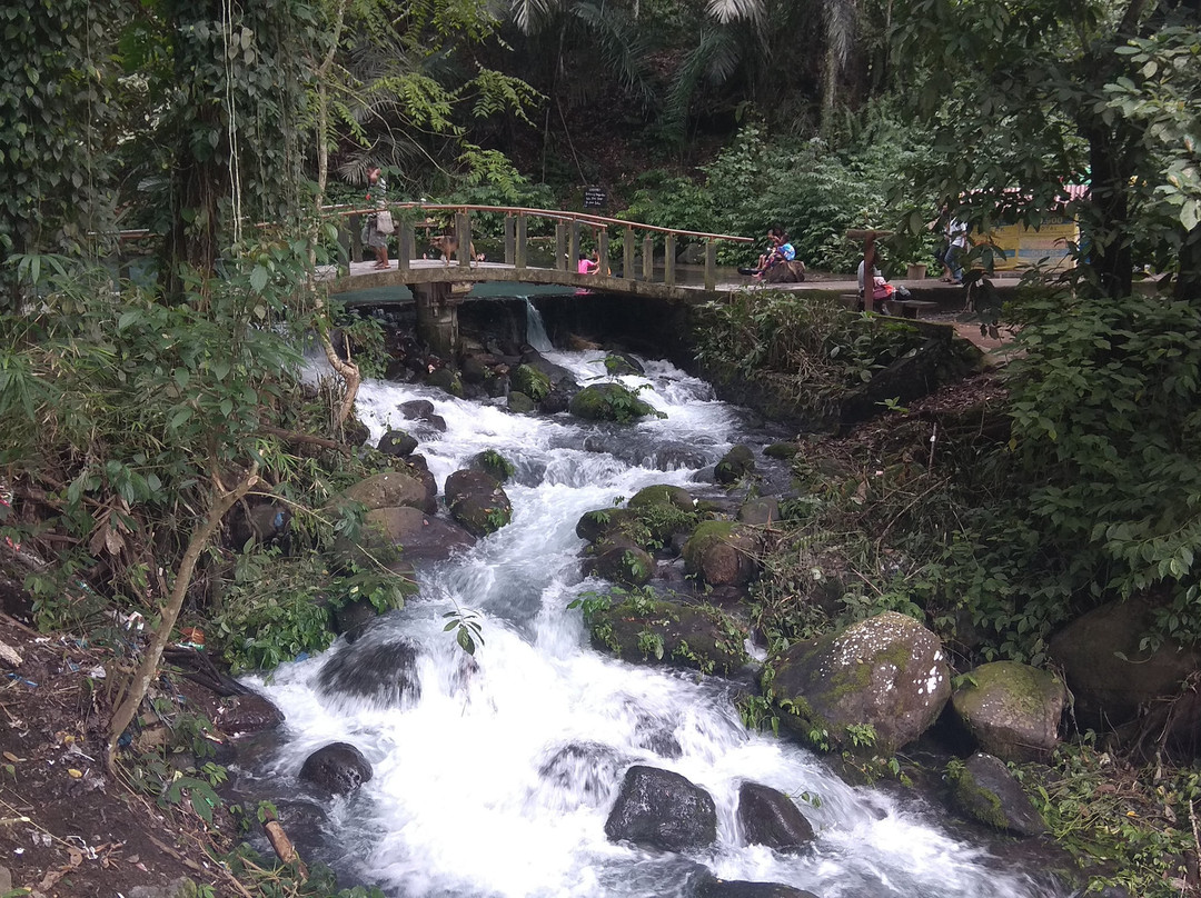 Sesaot Forest-马塔兰必去景点