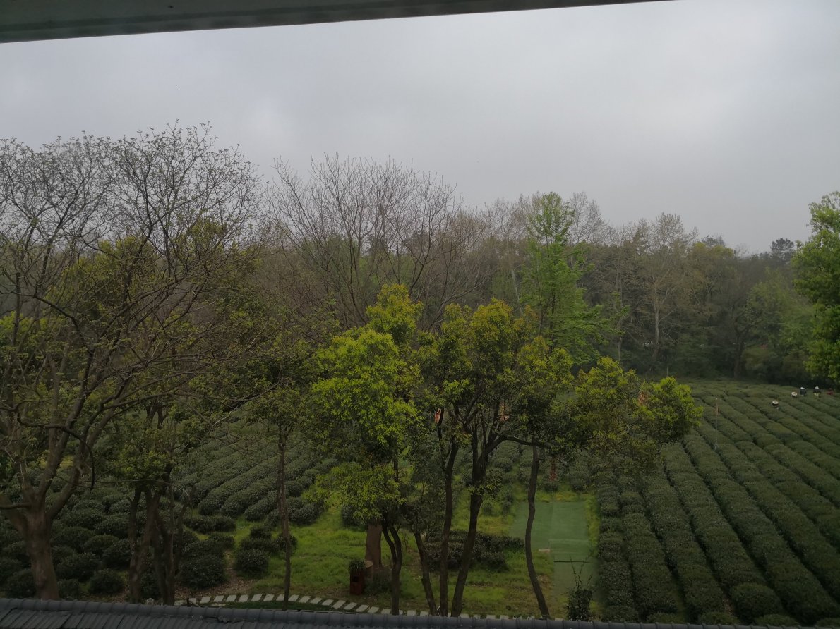 杭州殊胜龙井酒店（西湖灵隐店）-酒店景观