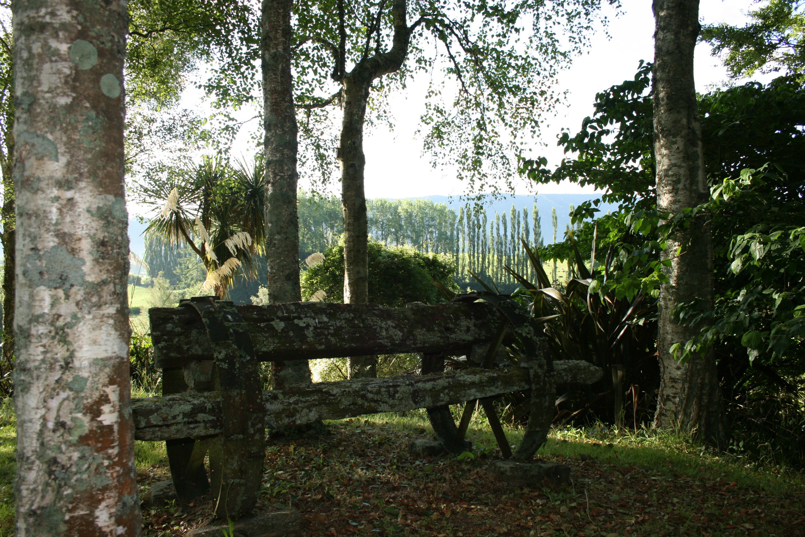 Sandara Gardens-官方