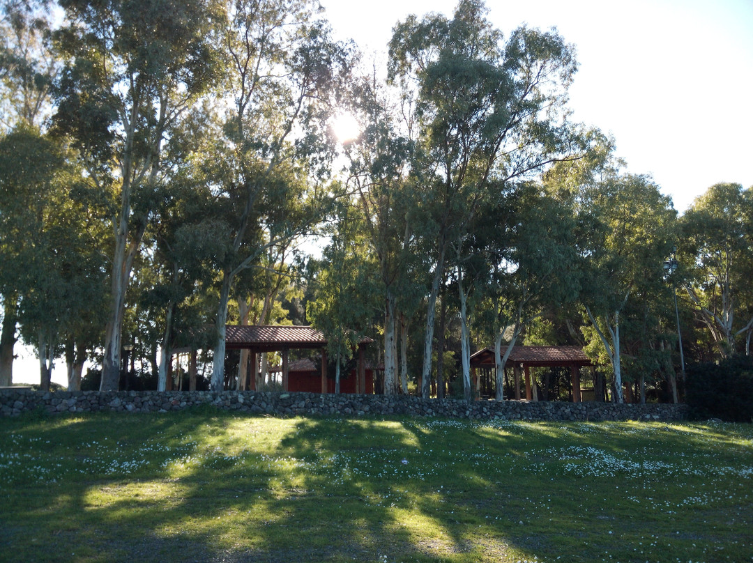 Arborea旅游景点-Parco di Zuradili