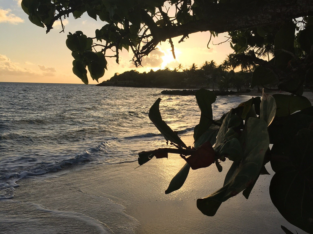 Gros Raisin-圣吕斯必去景点