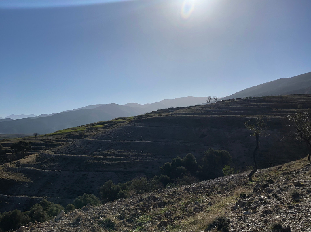 Berber Travel Adventures景点图片
