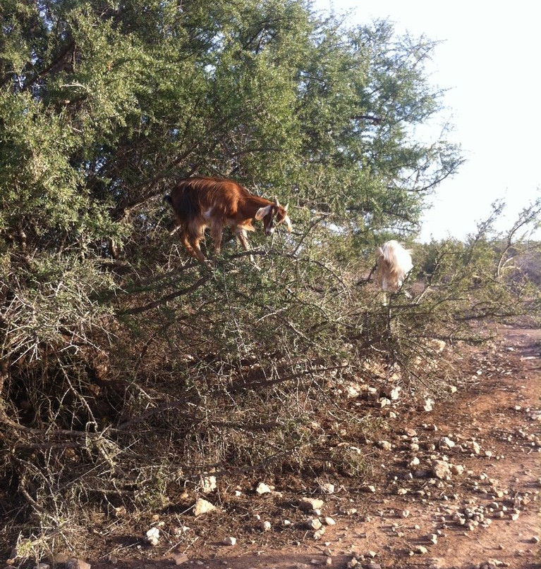 Be-In-Naturetours-索维拉必去景点