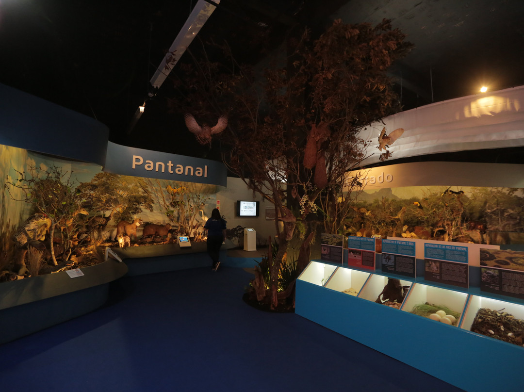 Itaipu Natureza-伊瓜苏必去景点