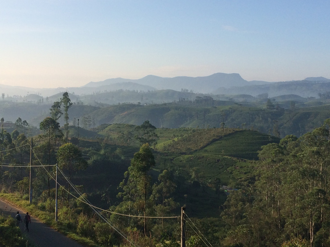 Daynish Rock Bungalow主图