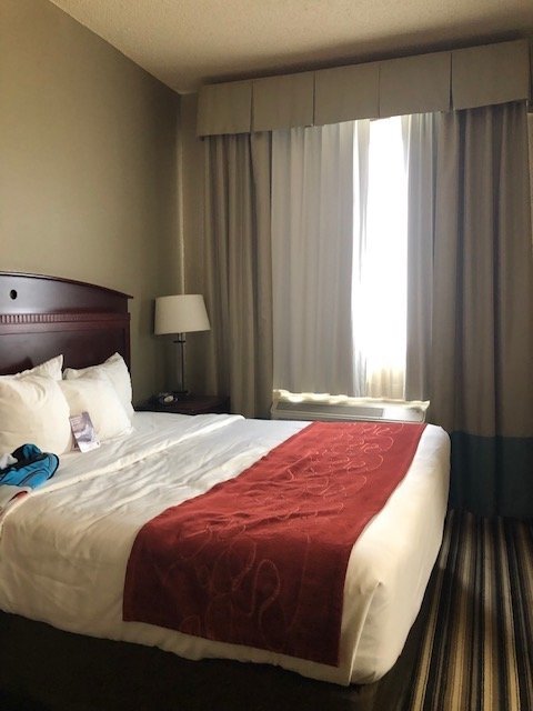 Comfort Suites Waco North-portrait