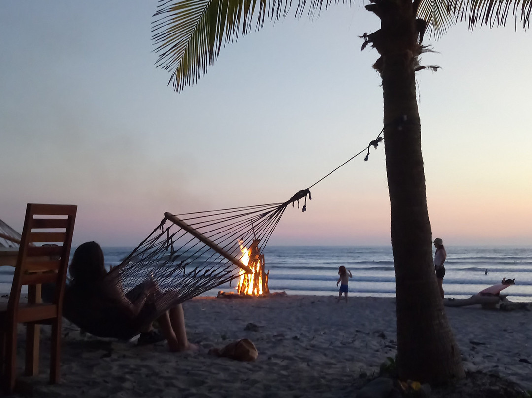 Taboo Beach Club景点图片
