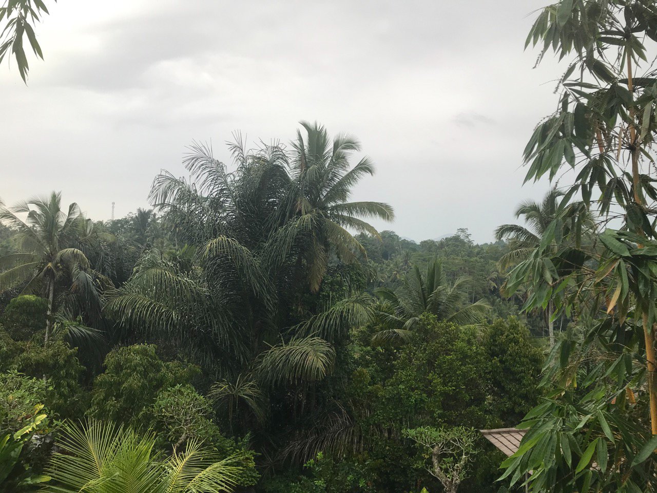 Umah Hoshi-酒店景观