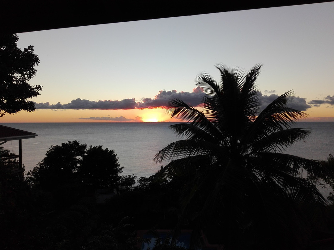 The Tamarind Tree Hotel & Restaurant主图