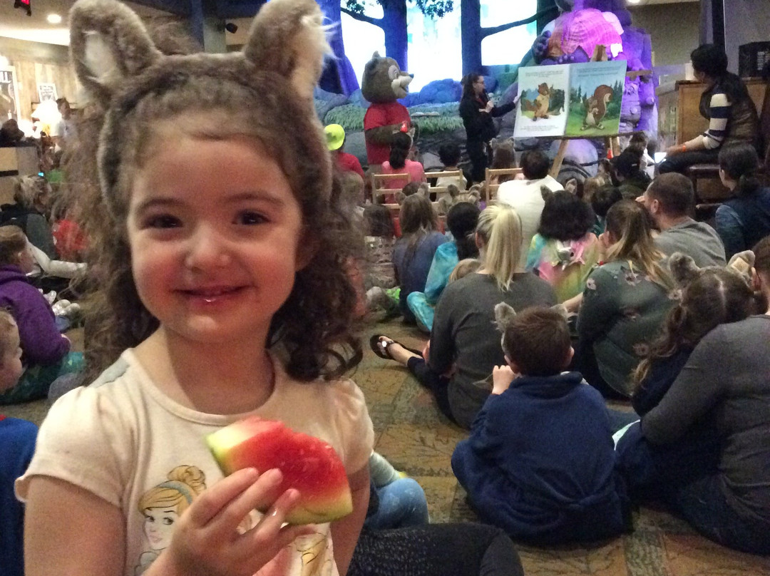 Great Wolf Lodge - Boston / Fitchburg, MA主图