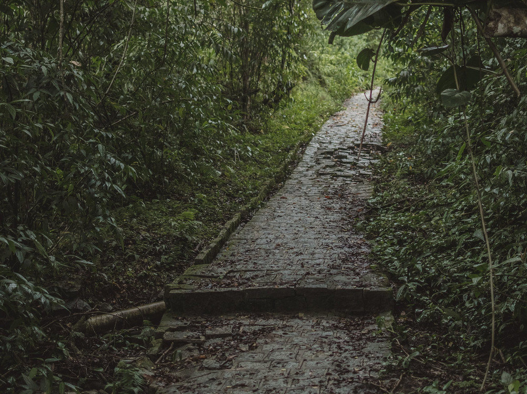 Morro da Baleia-Ilha do Mel必去景点