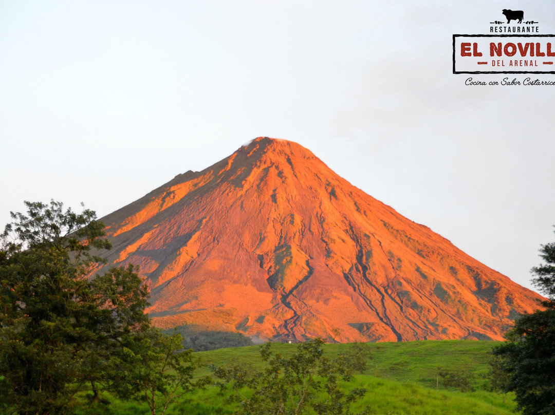 El Novillo del Arenal