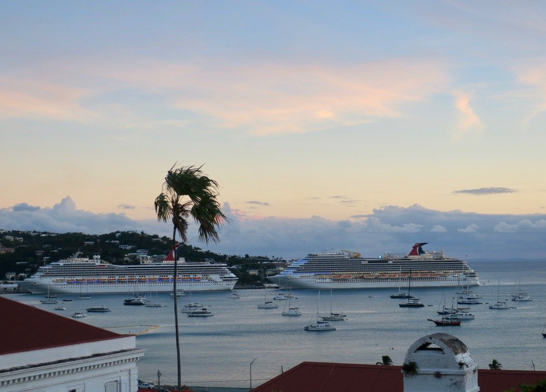 At Home In The Tropics主图