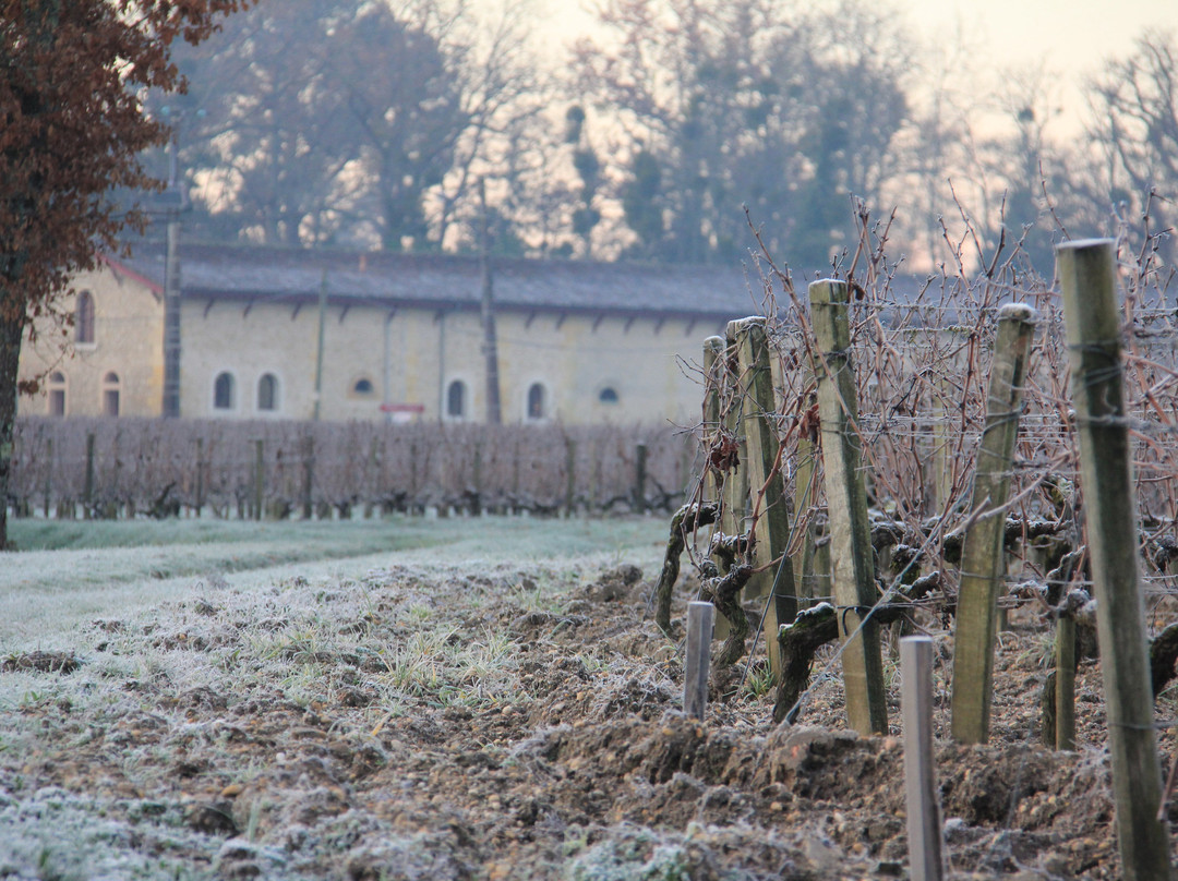 Domaine de la Solitude景点图片